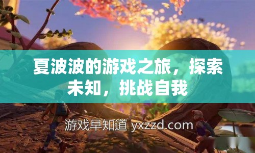 夏波波游戲之旅，探索未知，挑戰(zhàn)自我