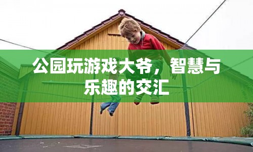 公園玩游戲大爺，智慧與樂趣的交匯