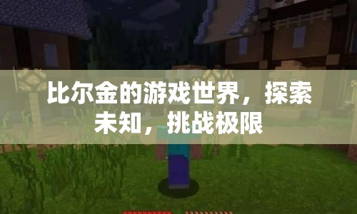比爾金，探索游戲世界的未知與挑戰(zhàn)
