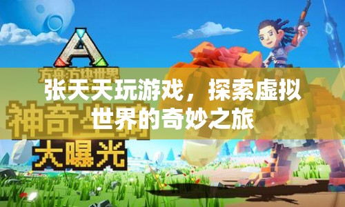 張?zhí)焯?，探索虛擬世界的奇妙之旅