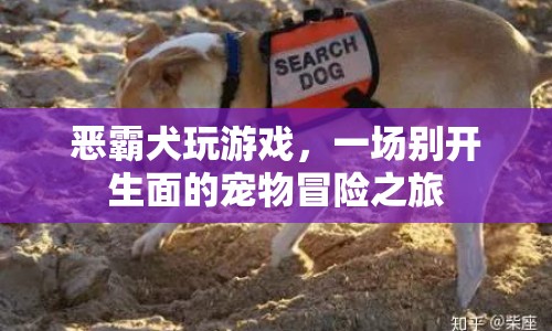 惡霸犬的寵物冒險，一場別開生面的游戲之旅