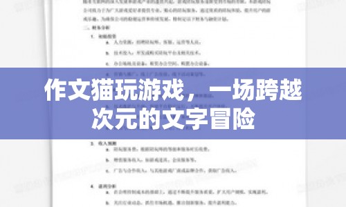 貓玩游戲，一場(chǎng)跨越次元的文字冒險(xiǎn)之旅