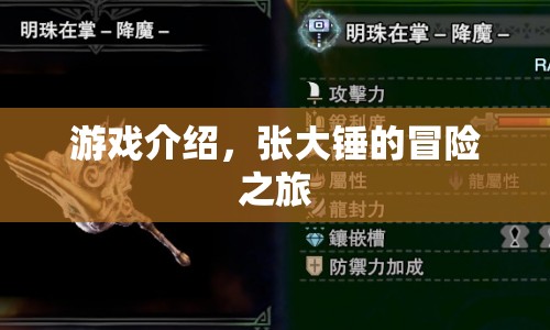 張大錘的冒險(xiǎn)之旅，探索未知世界的奇妙之旅