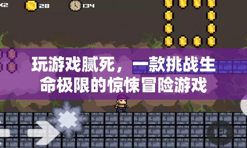 挑戰(zhàn)生命極限，驚悚冒險游戲玩游戲膩死