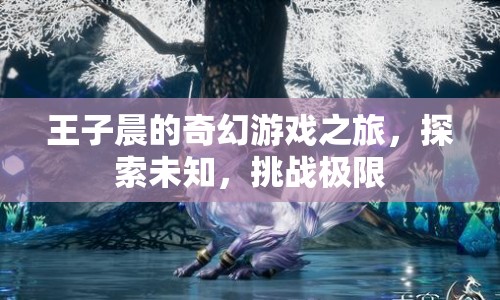 王子晨的奇幻冒險，探索未知，挑戰(zhàn)極限