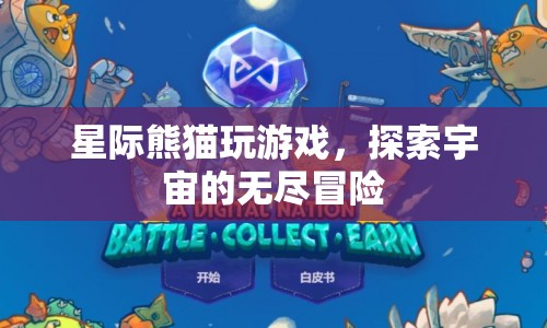 星際熊貓，宇宙冒險(xiǎn)的無限游戲