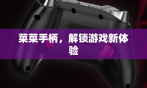 菜菜手柄，解鎖游戲新體驗(yàn)