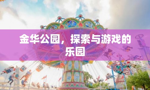 金華公園，探索與游戲的樂園