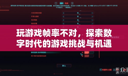 數(shù)字時(shí)代下的游戲挑戰(zhàn)與機(jī)遇，探索幀率問題