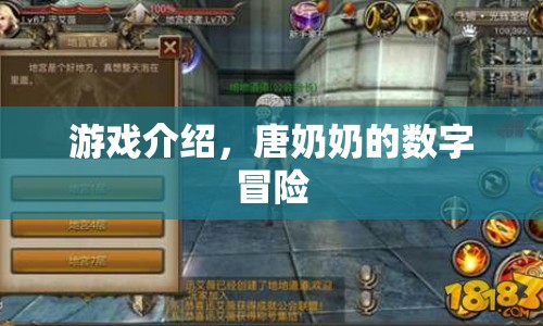 唐奶奶的數(shù)字冒險，一場數(shù)字世界的奇妙之旅