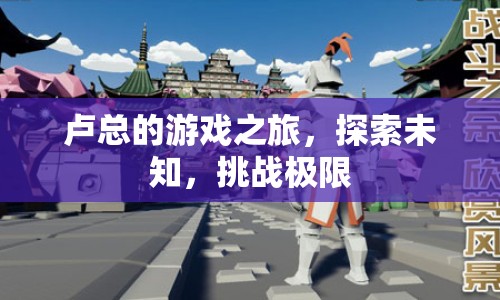 盧總游戲之旅，探索未知，挑戰(zhàn)極限
