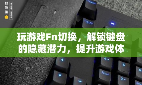 解鎖鍵盤潛力，F(xiàn)n切換提升游戲體驗(yàn)