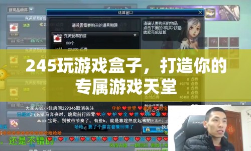 245玩游戲盒子，打造個(gè)性化游戲天堂