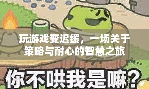 策略與耐心，一場(chǎng)智慧之旅中的游戲遲緩