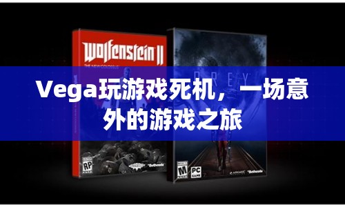 Vega顯卡玩游戲死機，一場意外的游戲之旅