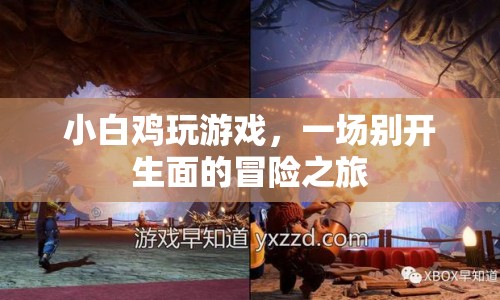 小白雞的游戲冒險(xiǎn)之旅