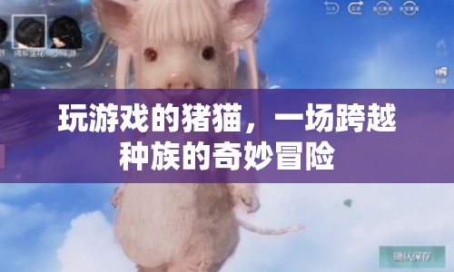豬貓跨種族冒險(xiǎn)，游戲世界的奇妙之旅