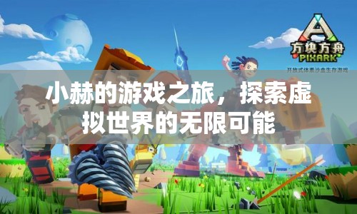 小赫的虛擬世界探險之旅