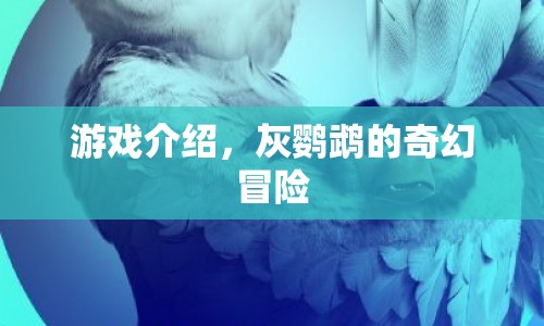 灰鸚鵡的奇幻冒險，探索未知世界的冒險之旅