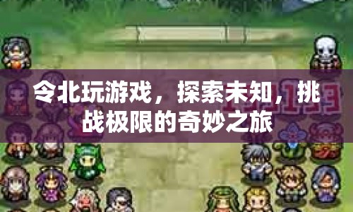 令北的奇妙之旅，探索未知，挑戰(zhàn)極限