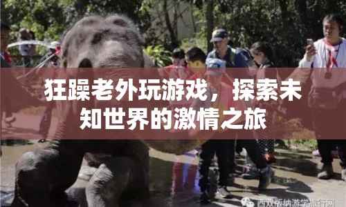 老外狂躁游戲之旅，探索未知世界的激情冒險