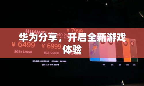 華為分享，開啟全新游戲體驗(yàn)時(shí)代