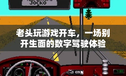 老頭數(shù)字駕駛，游戲開車體驗(yàn)