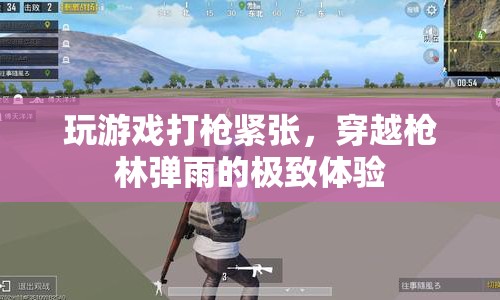 穿越槍林彈雨，緊張刺激的射擊游戲之旅