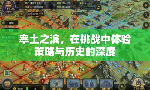 率土之濱，在挑戰(zhàn)中體驗策略與歷史的深度之旅