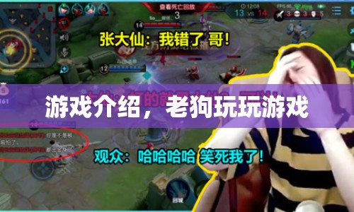老狗玩玩游戲，探索未知世界的奇妙之旅