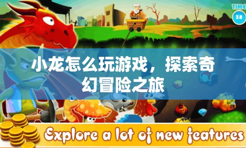 探索奇幻冒險之旅，小龍的游戲攻略