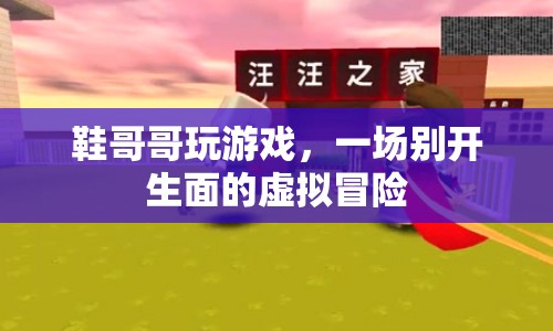 鞋哥哥虛擬冒險，一場別開生面的游戲之旅
