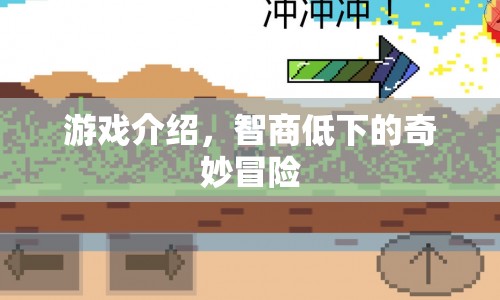 智商低下的奇妙冒險，一場不可思議的游戲之旅