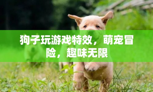 萌寵冒險，狗子玩游戲特效，趣味無限