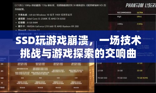 SSD玩游戲崩潰，技術(shù)挑戰(zhàn)與游戲探索的交響曲