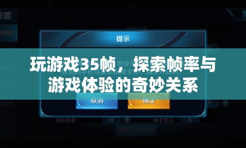35幀下的游戲世界，探索幀率與游戲體驗的奇妙關(guān)系