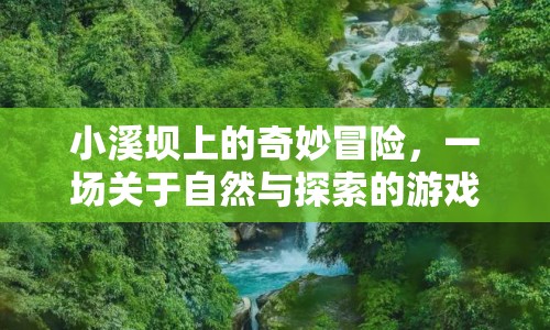 小溪壩上的奇妙冒險，自然與探索的夢幻之旅