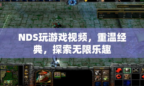 重溫經(jīng)典，探索無限樂趣，NDS游戲視頻來襲！