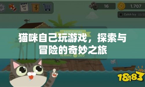 貓咪的奇妙冒險，自我探索與游戲的樂趣