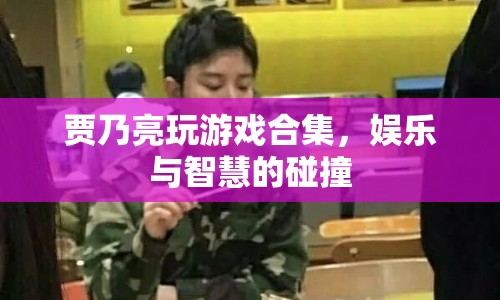 賈乃亮游戲合集，娛樂(lè)與智慧的碰撞