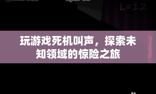探索未知領(lǐng)域的驚險(xiǎn)之旅，游戲死機(jī)叫聲的奇妙體驗(yàn)