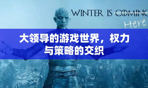 大領(lǐng)導(dǎo)的游戲世界，權(quán)力與策略的交織
