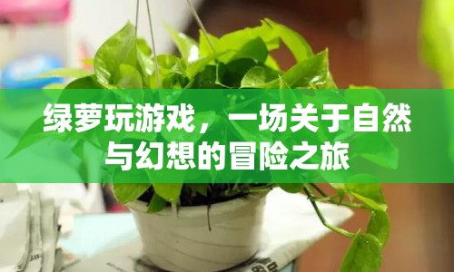 綠蘿的幻想冒險(xiǎn)之旅