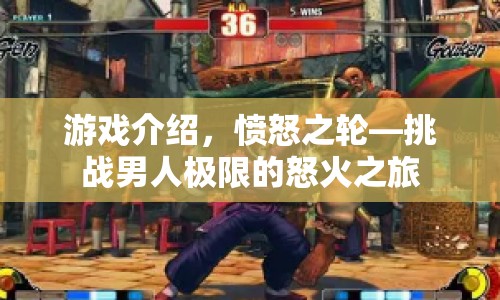 憤怒之輪，挑戰(zhàn)男人極限的怒火之旅
