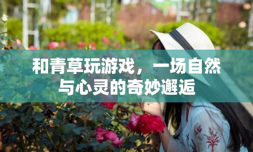 青草間的奇妙游戲，自然與心靈的浪漫邂逅