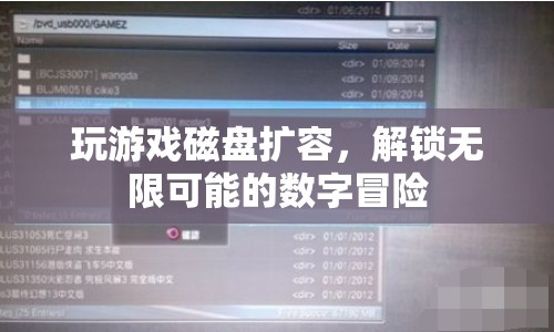 解鎖無(wú)限可能的數(shù)字冒險(xiǎn)，游戲磁盤擴(kuò)容