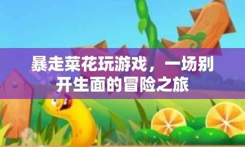 暴走菜花，一場別開生面的游戲冒險(xiǎn)之旅