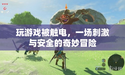 觸電冒險(xiǎn)，一場(chǎng)刺激與安全的奇妙之旅