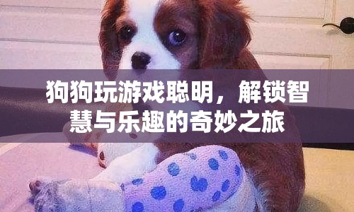狗狗解鎖智慧與樂趣，奇妙游戲之旅