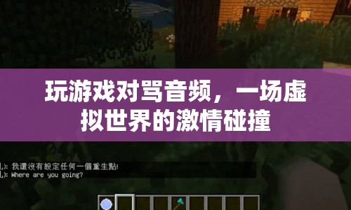 虛擬世界中的對罵音頻，一場激情碰撞的較量